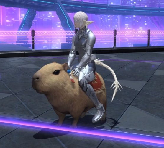 DMount1.jpg